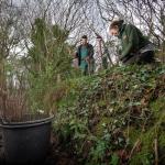 Cornish Hedges